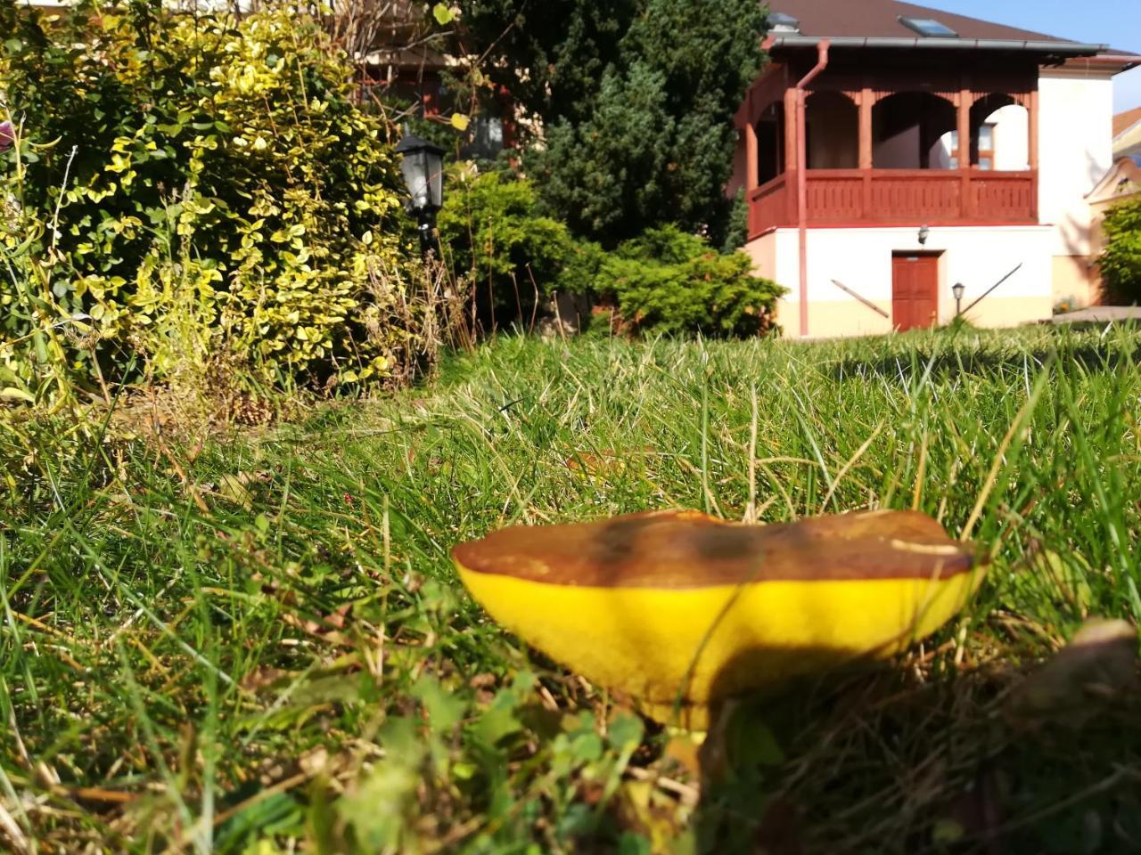 Penzion Rodina Levoča Dış mekan fotoğraf